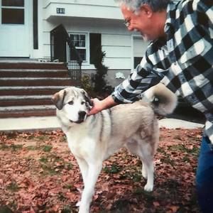 Meet your Posher, Rafi